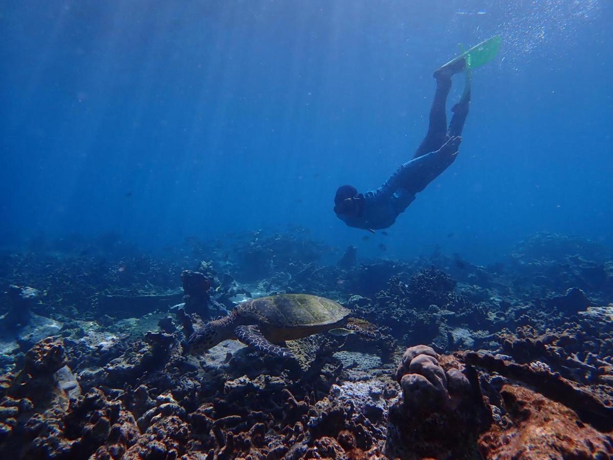 Wow Inn Keyodhoo Keyodhoo  Eksteriør bilde