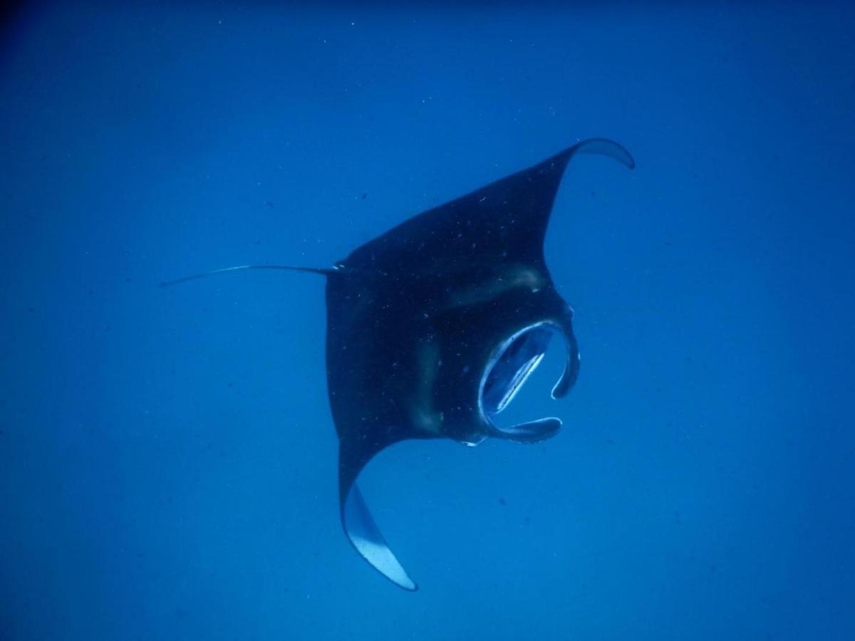 Wow Inn Keyodhoo Keyodhoo  Eksteriør bilde